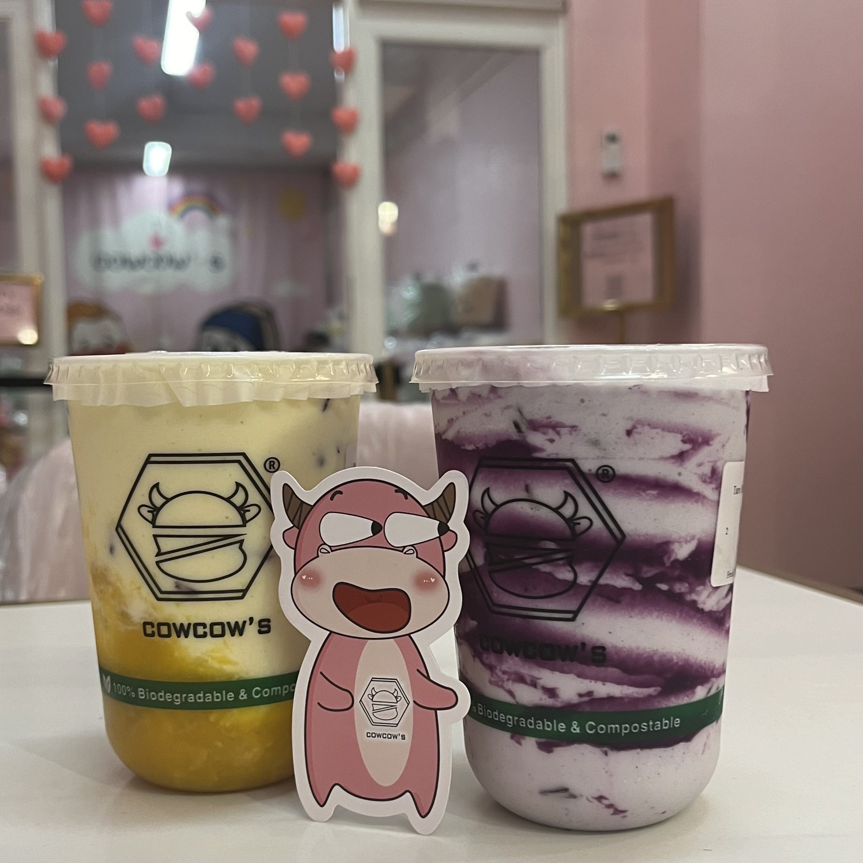 Cowcow‘s
