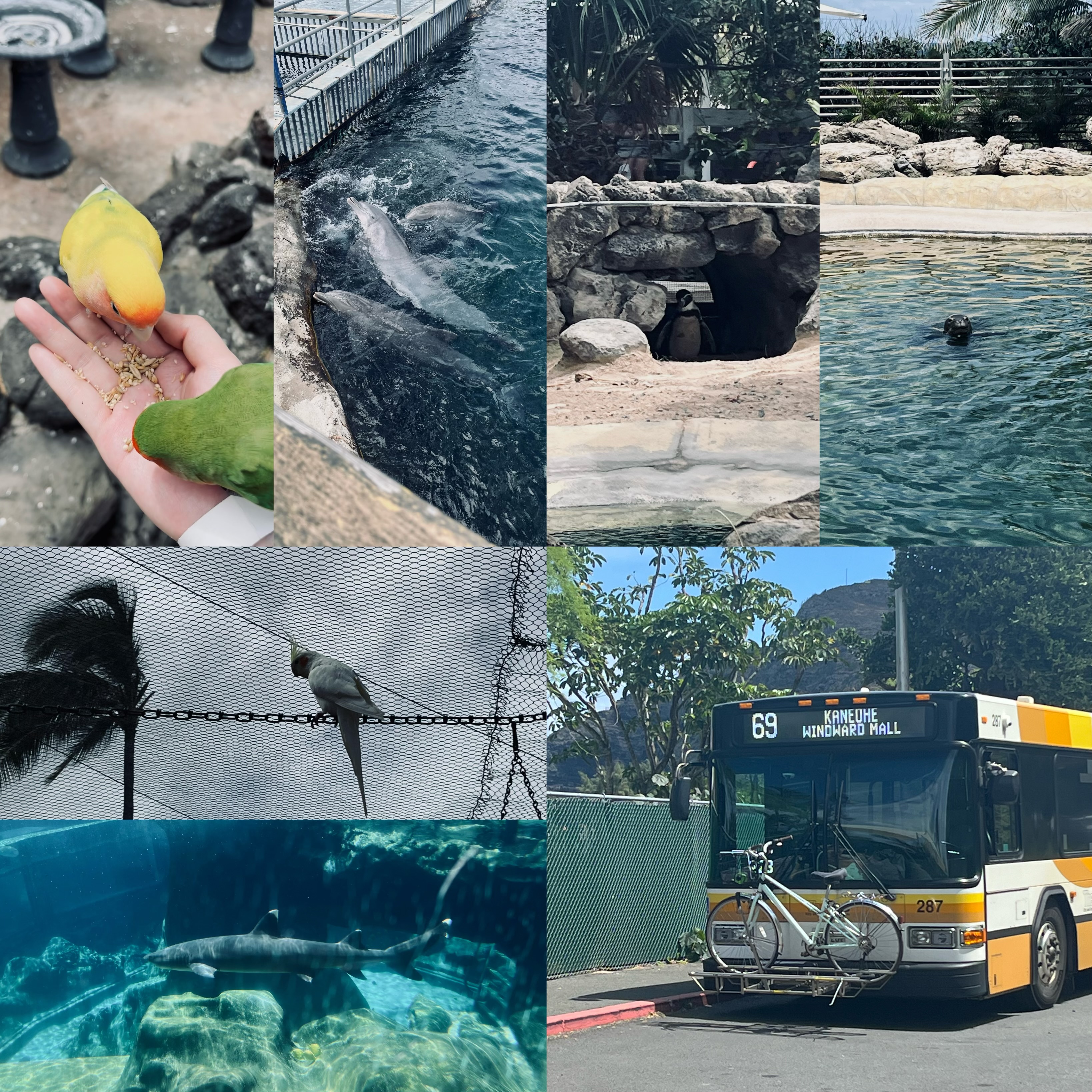 Sea Life Park