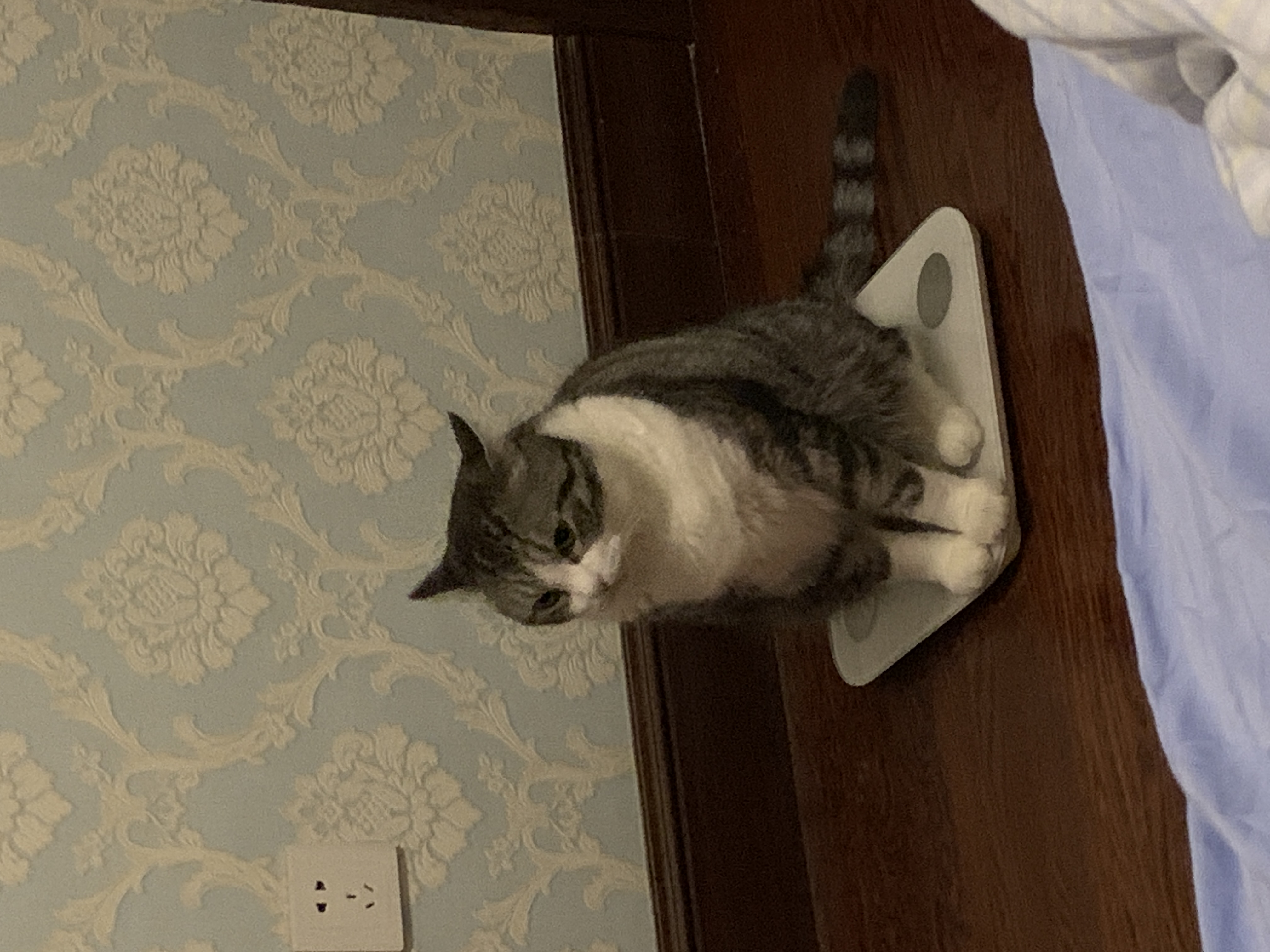 IMG_4665.jpeg