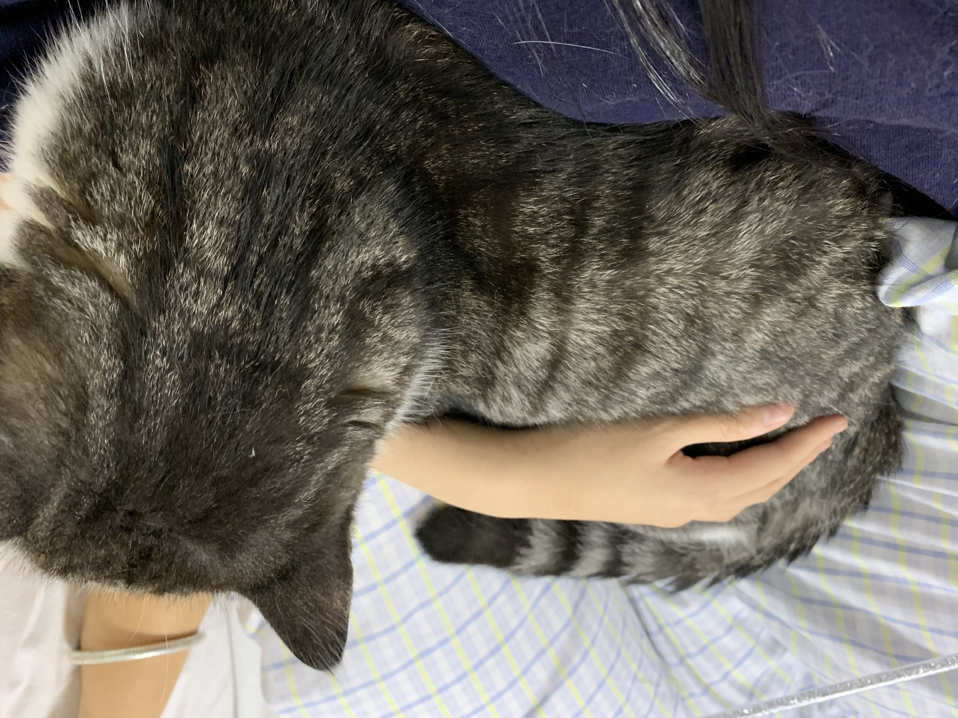 IMG_4625.jpeg