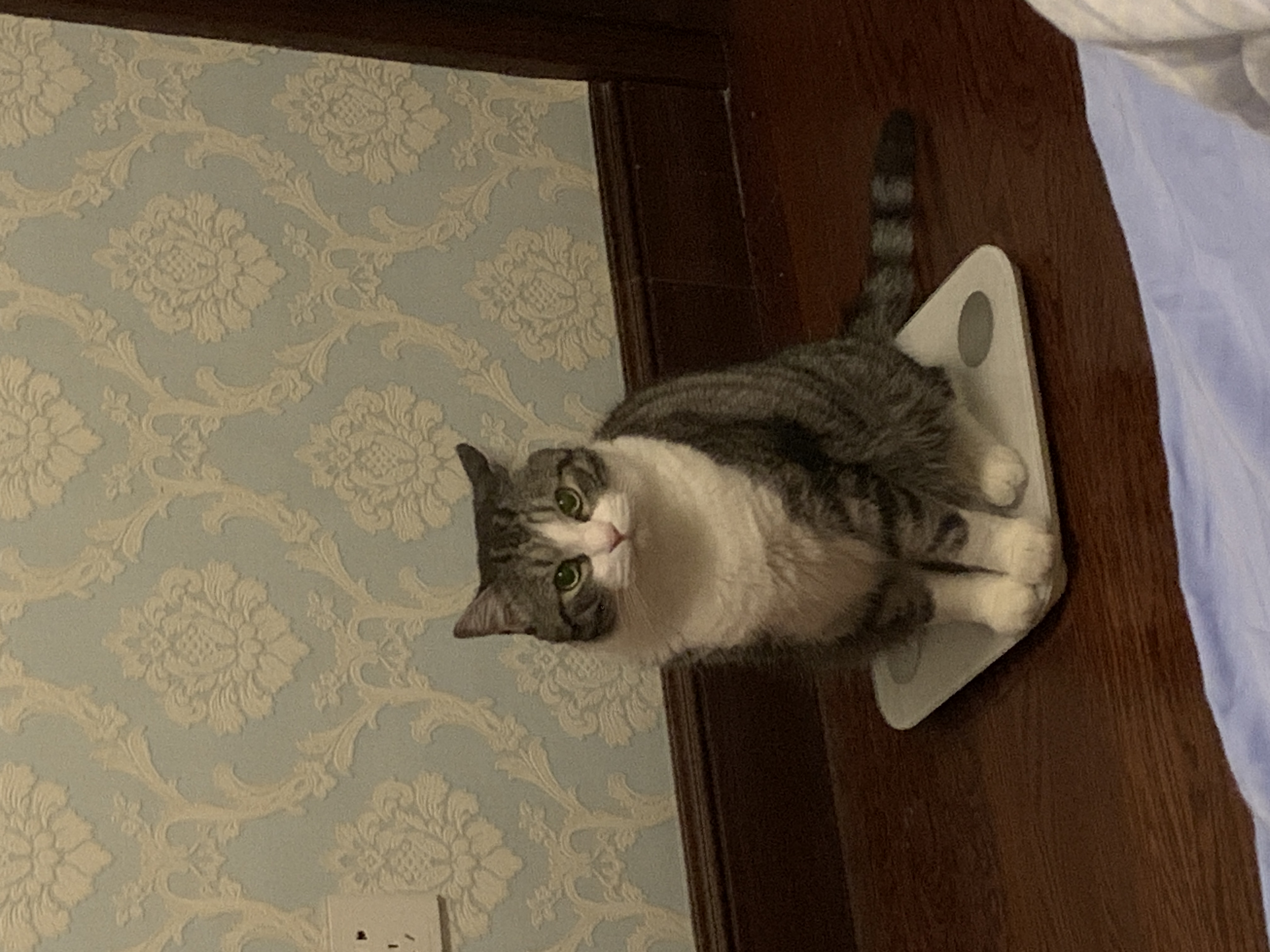 IMG_4666.jpeg